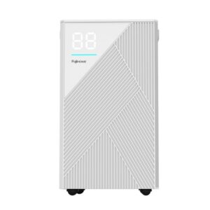 Máy hút ẩm dân dụng Fujihome DH20W